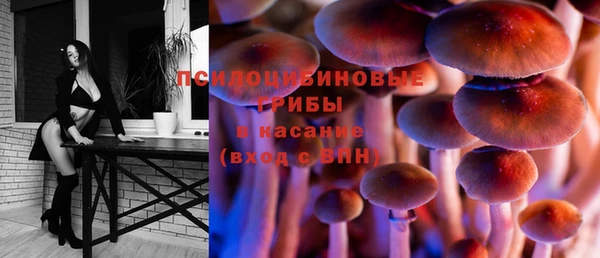 амф Магадан