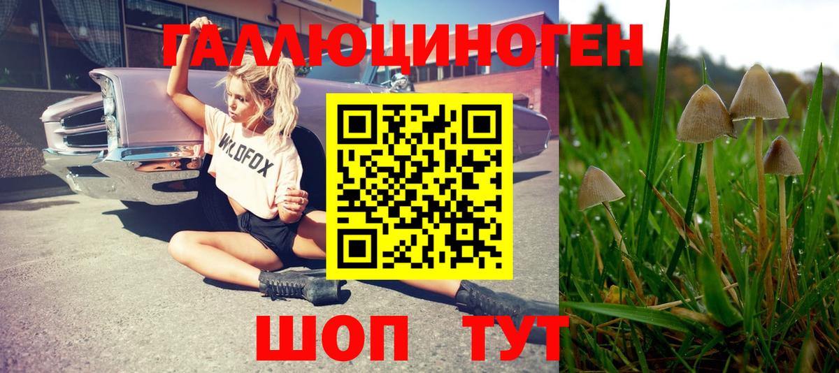 Галлюциногенные грибы Magic Shrooms Березники