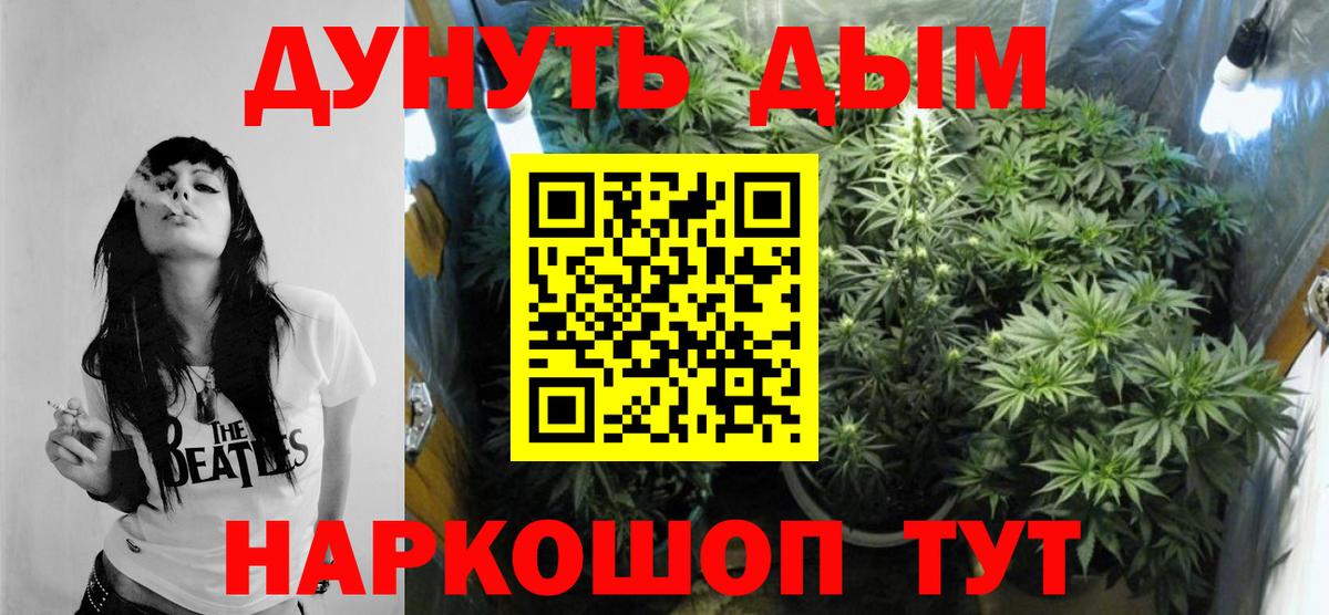 Каннабис планчик  Березники  Марихуана ГИДРОПОН  Каннабис SATIVA & INDICA 